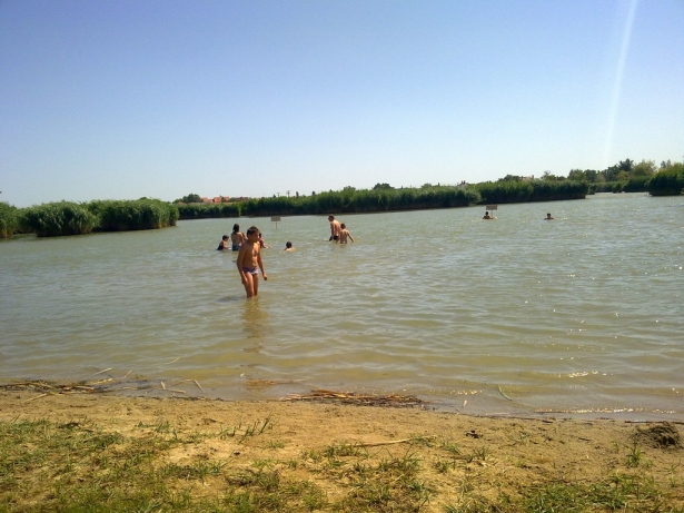 20120719515