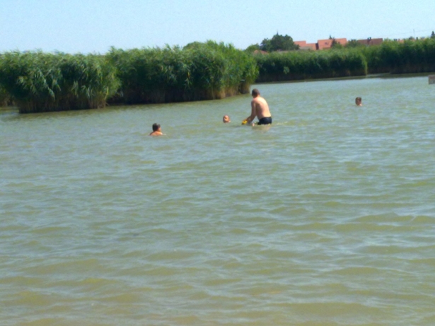 20120719523