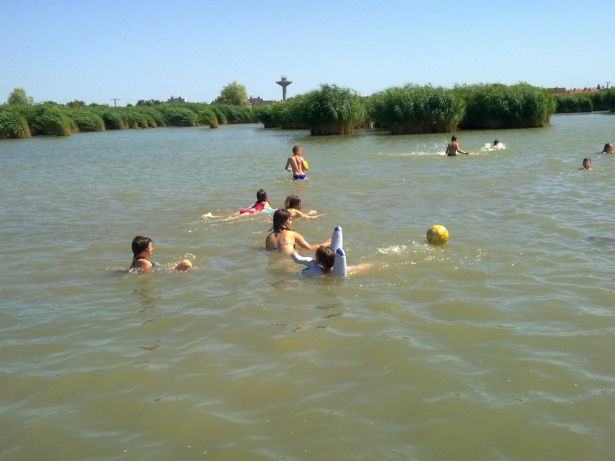 20120719527
